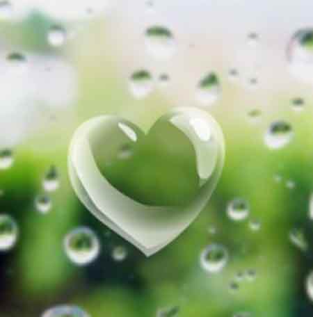 دانلود آهنگ بلبل نخوان ساز غم وادارمه مجتبی جعفری